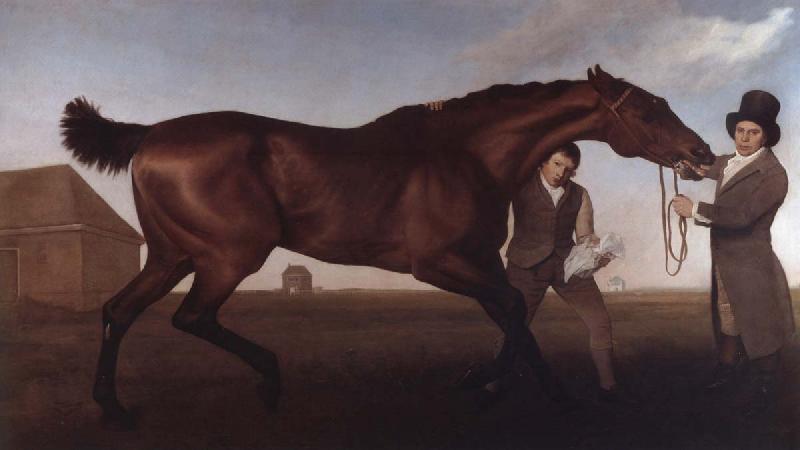 George Stubbs Hambletonian, Rubbing Down oil painting image